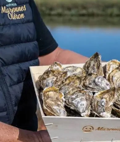 Bourriche d’huîtres de Marennes-Oléron